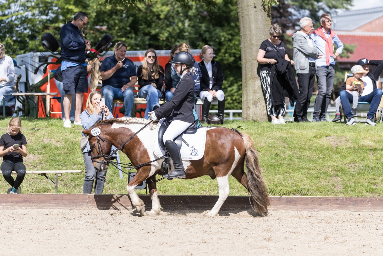 Bild 1 - Pony Akademie Turnier